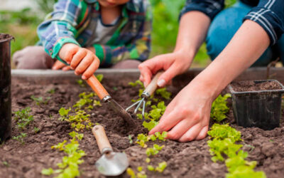 3 consejos clave para iniciarte en la jardinería